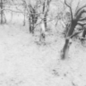 Meet your Posher, Rayane